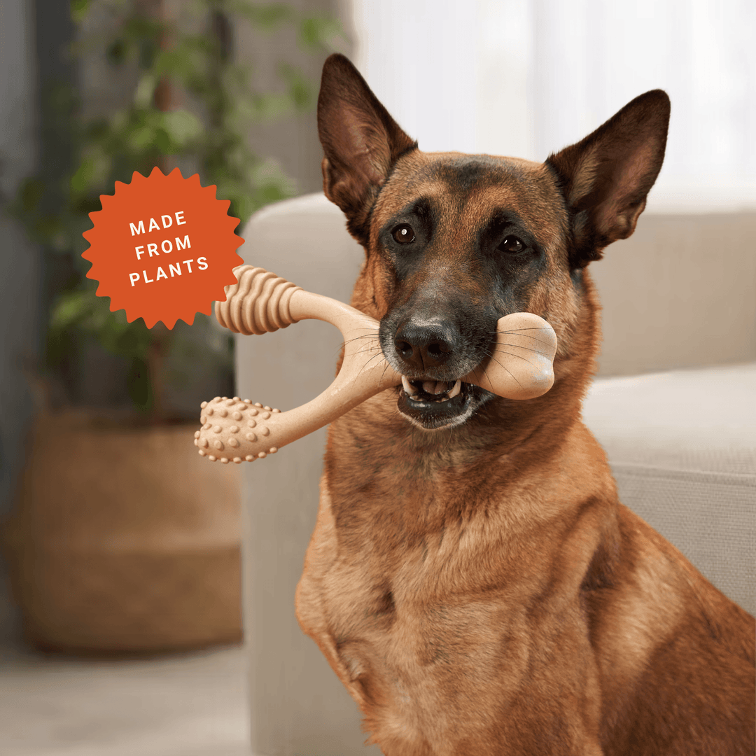 BetterBone Wishbone Plant Based Chew Toy - Moderate / Beef / Large