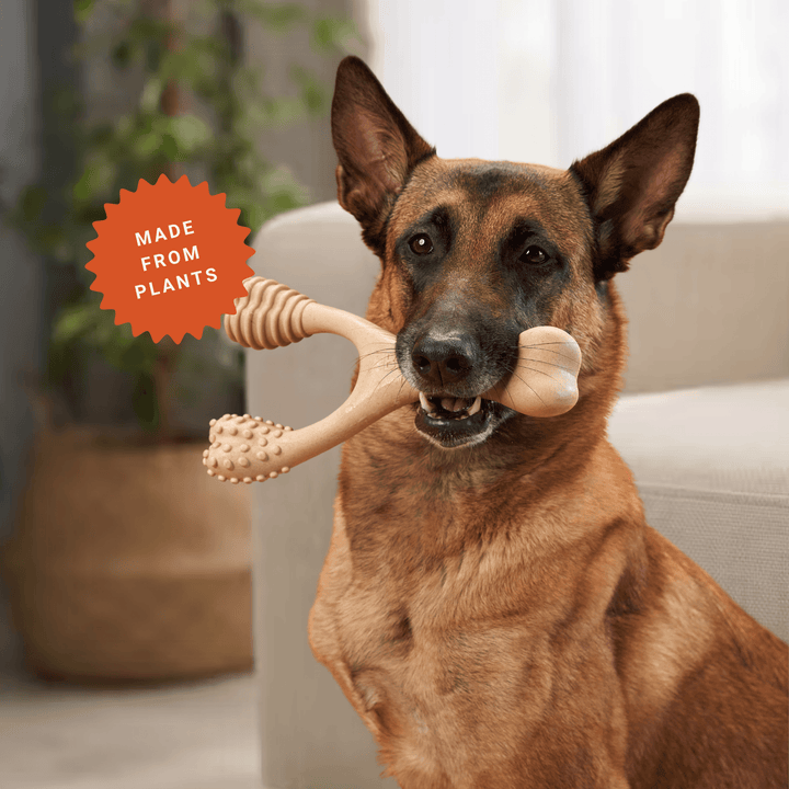 BetterBone Wishbone Plant Based Chew Toy - Moderate / Beef / Large