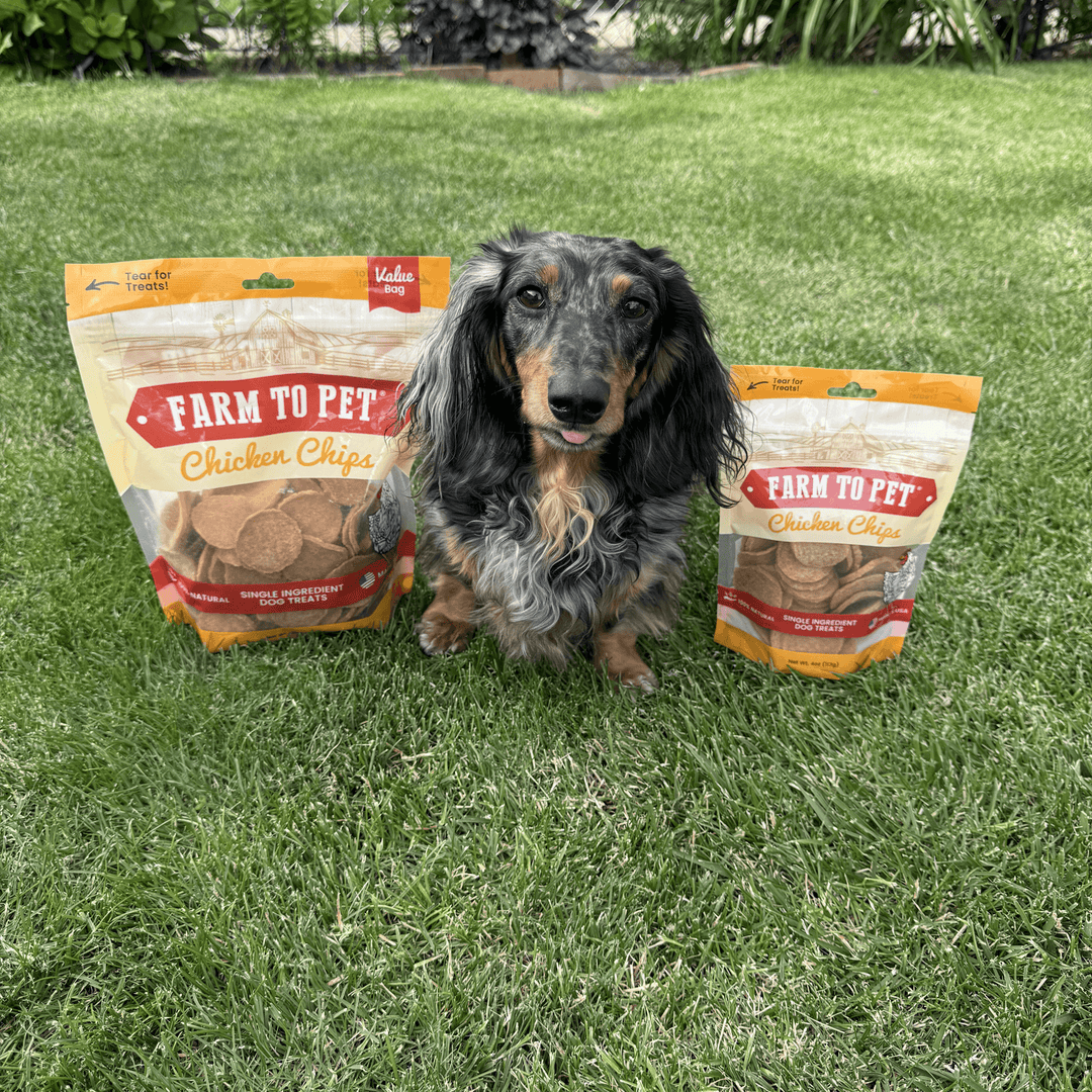 Chicken Chips Dog Treats: 12oz