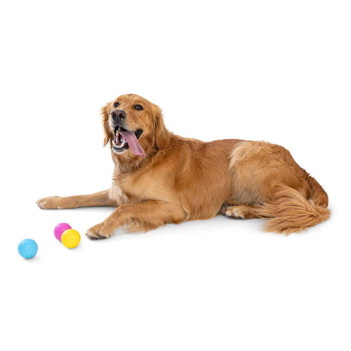 Boundr® 2-Pack Dog Toy Ball for Play, Chew, and Fetch: Aqua/Dandelion