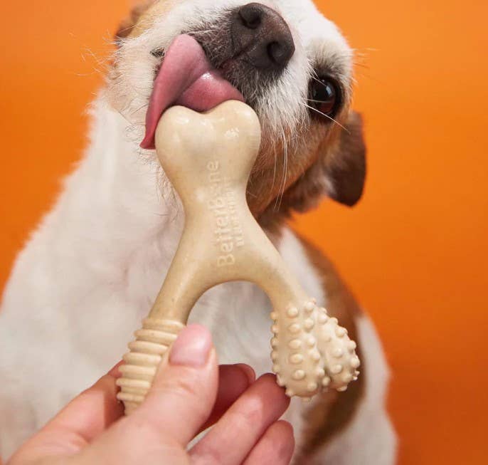 BetterBone Hard Beef Dog Chew Toy Large