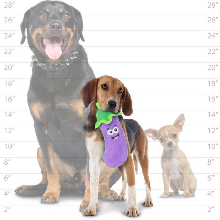 Tuffy® Funny Food Eggplant Dog Toy