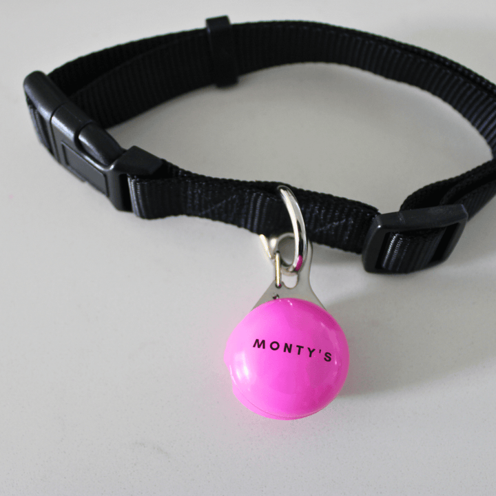 USB Rechargeable Flashing Dog Collar/Harness Light  - Pink