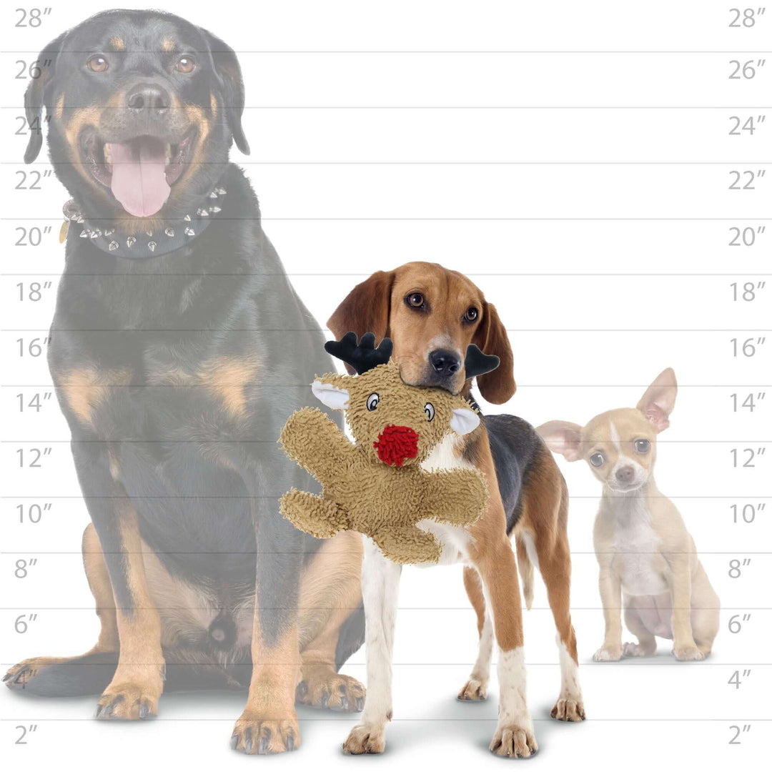 A size comparison image showing a medium-sized dog holding the plush reindeer toy in front of a size chart with two other dogs.