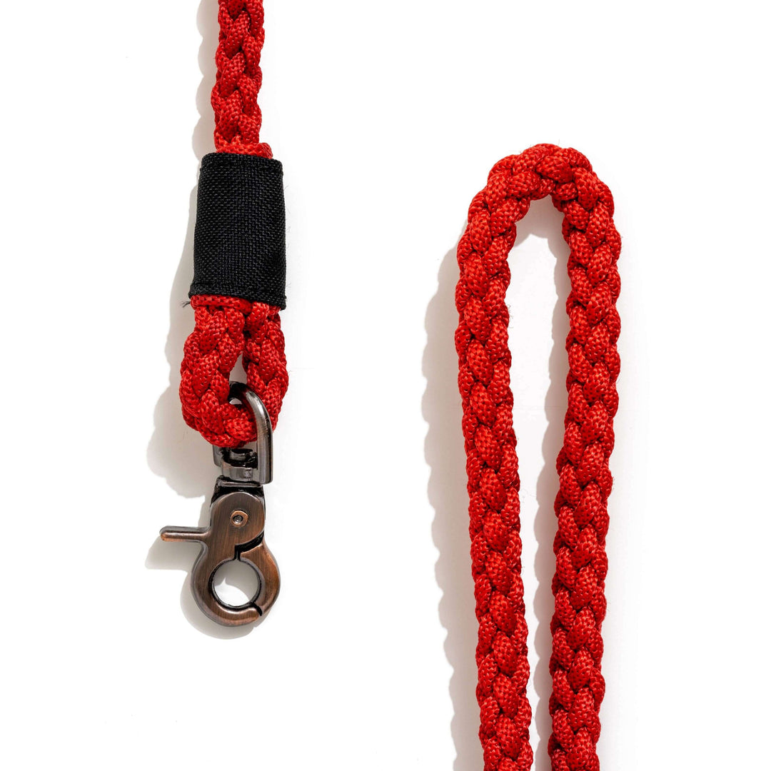 Recycled Ocean Plastic - BETTERLEASH: Royal Red, Large