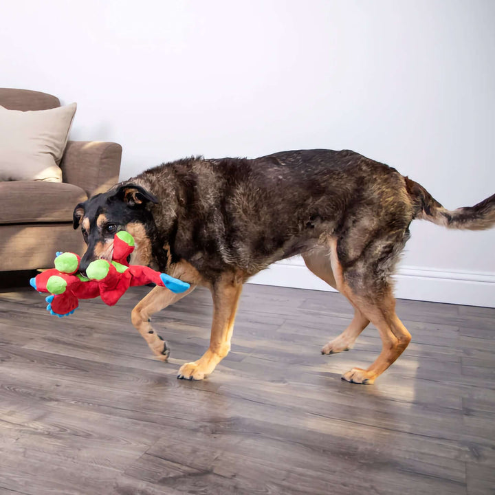 GoDog Dino Triceratops w/Chew Guard Plush Dog Toy Red Large