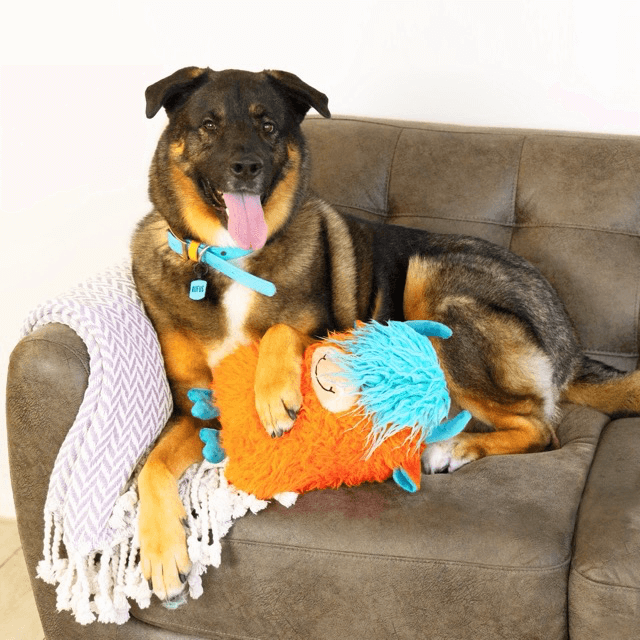 Dog sitting on a couch with a plush toy, wearing a blue bandana.