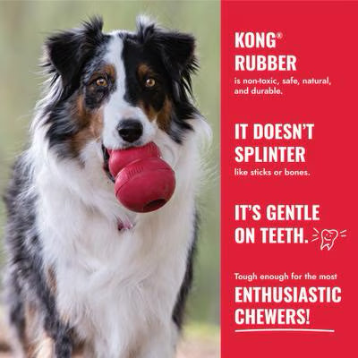 KONG Classic Flyer Dog Toy, Large