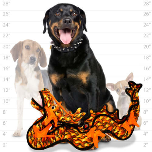 Tuffy® Dragon Dog Toy