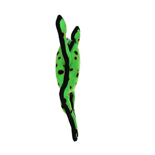 side view green frog with black spots and black edge.